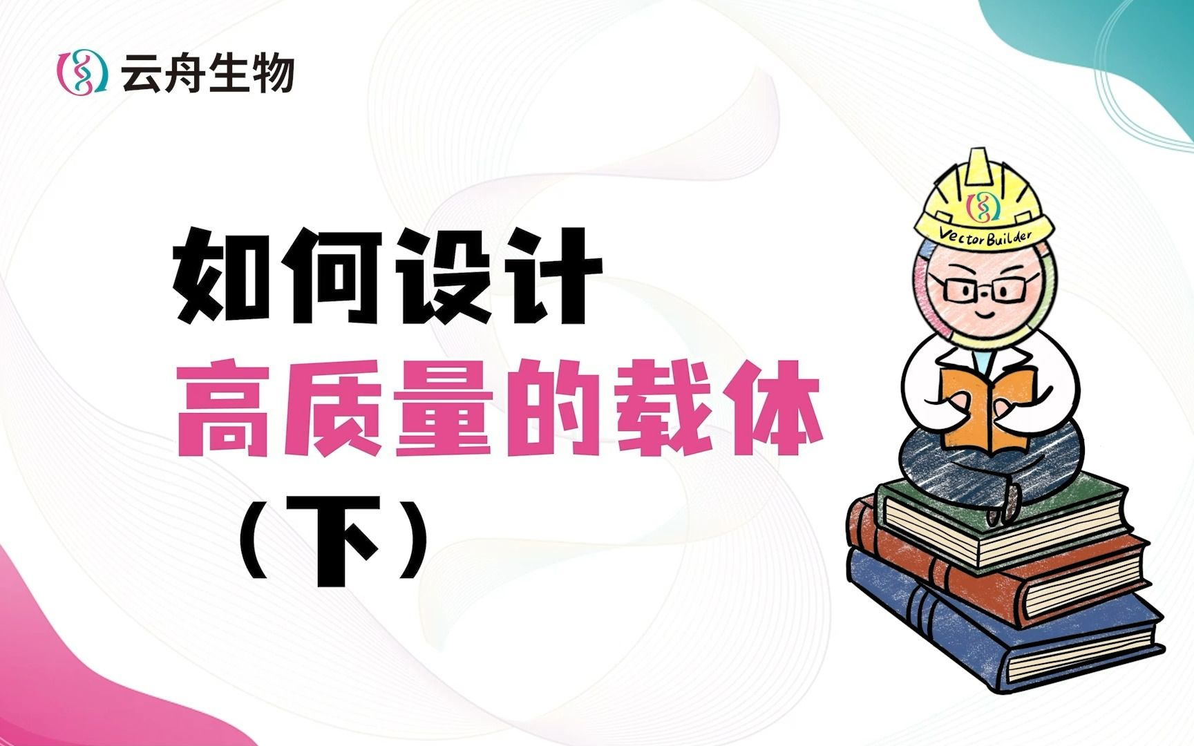 如何设计高质量的载体(下)哔哩哔哩bilibili