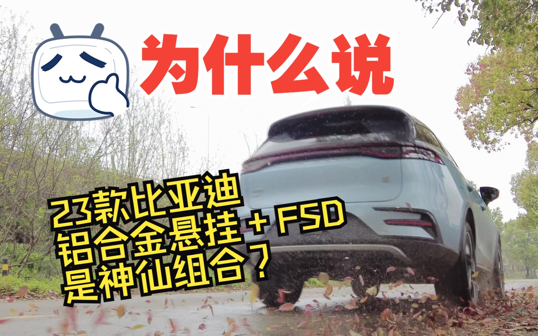 为什么说唐dmi冠军版铝合金悬架+FSD是神仙组合哔哩哔哩bilibili