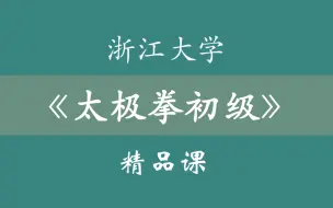 下载视频: 浙江大学《太极拳初级》精品课 39集全