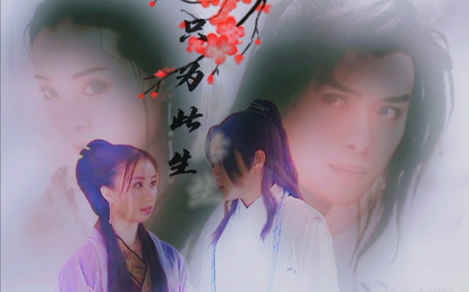 【沉玉&沈飞】钟爱一生,只为一人.