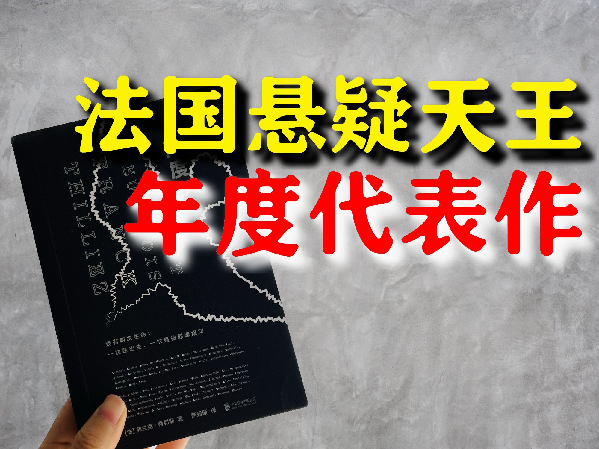 追凶12年!失踪少女难以想象的遭遇!法国悬疑天王的书中书案中案《两度》哔哩哔哩bilibili