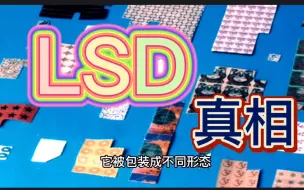 Descargar video: LSD的真相，由曾经吸食过的人告诉你