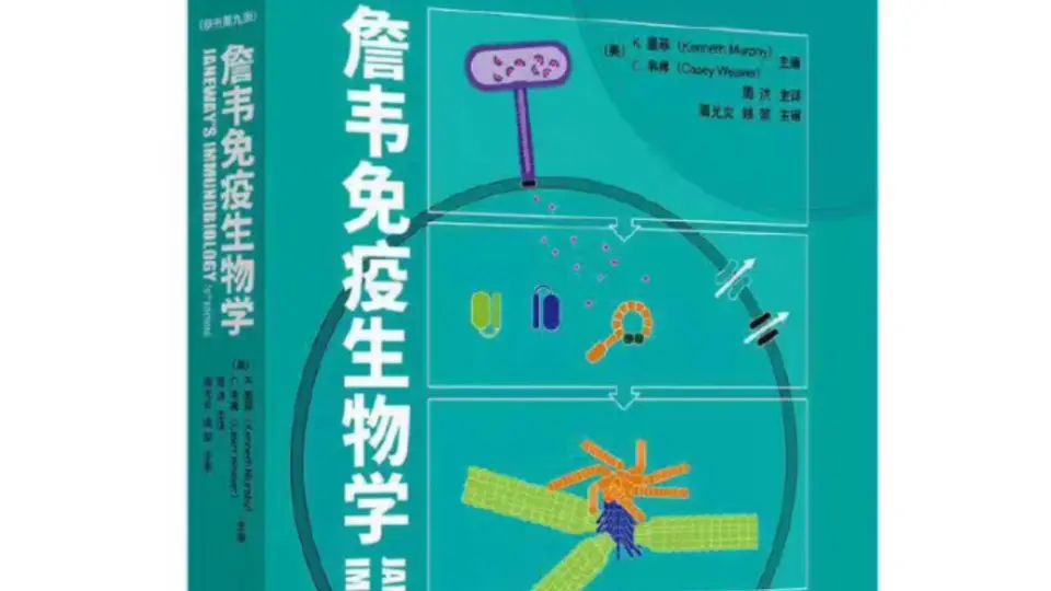 詹韦免疫生物学第9版_周洪主译2022年（彩图）超清版PDF_哔哩哔哩_bilibili