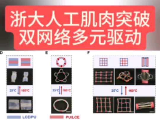 8/9浙大人工肌肉突破,双网络多元驱动液晶弹性体.谢涛团队登《科学进展》.两种驱动模式加形状组合,极大拓展航空航天、机器人、医疗等应用.哔哩...