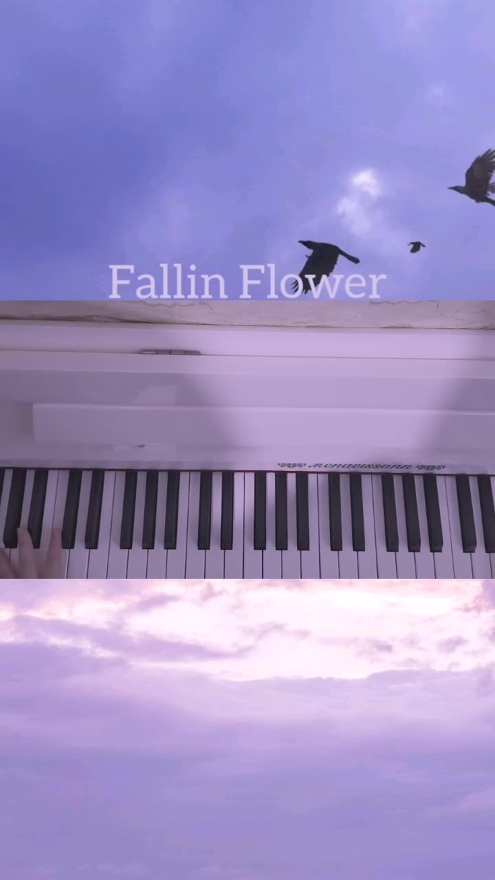 fallinflower鋼琴曲