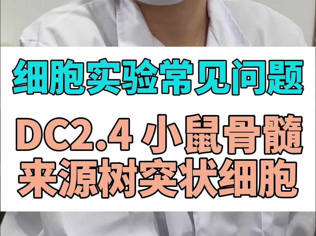 DC2.4小鼠骨髓来源树突状细胞常见问答哔哩哔哩bilibili