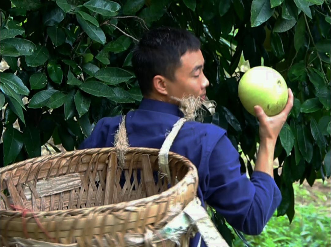 柚子酿的酒喝过吗?古法传统工艺古法柚子酿酒!哔哩哔哩bilibili