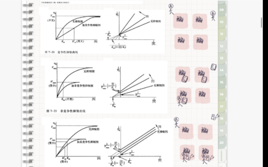 自用复盘:酶的可逆抑制作用概念和抑制曲线(竞争性抑制,非竞争性抑制和反竞争性抑制)哔哩哔哩bilibili