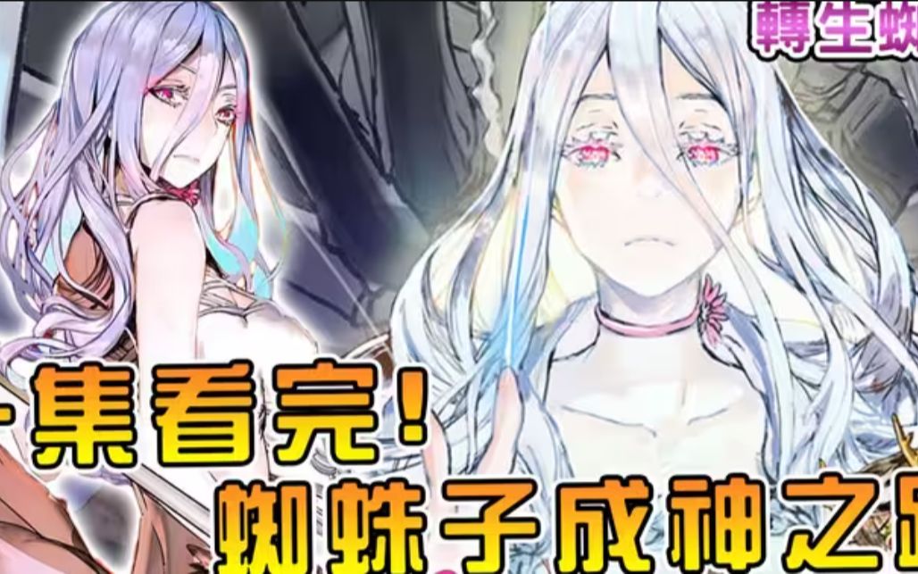 一口气看到爽【转生成蜘蛛又怎样】从半人型蜘蛛娘到神化 一口气看完