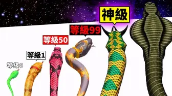 Tải video: 从超烂小蛇进化成最强神级大蛇的成长游戏！【Snake Evolution Run 3D】