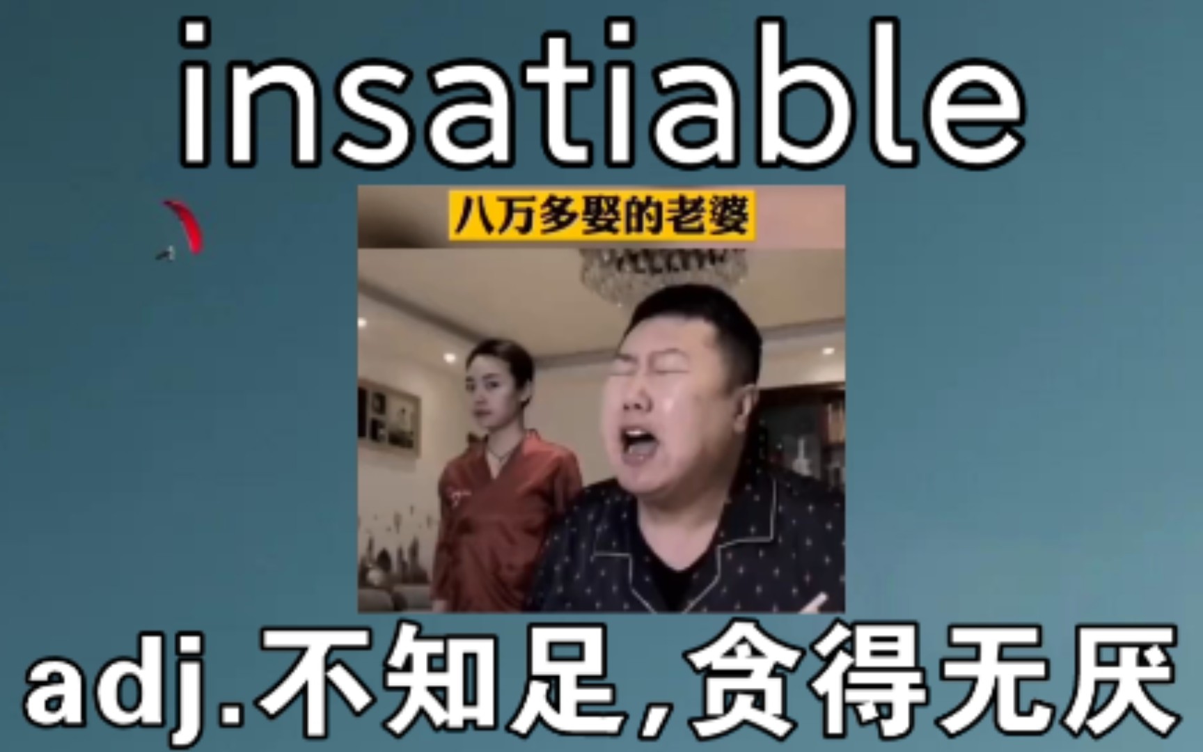 [专八考研词汇] insatiable:不知足哔哩哔哩bilibili