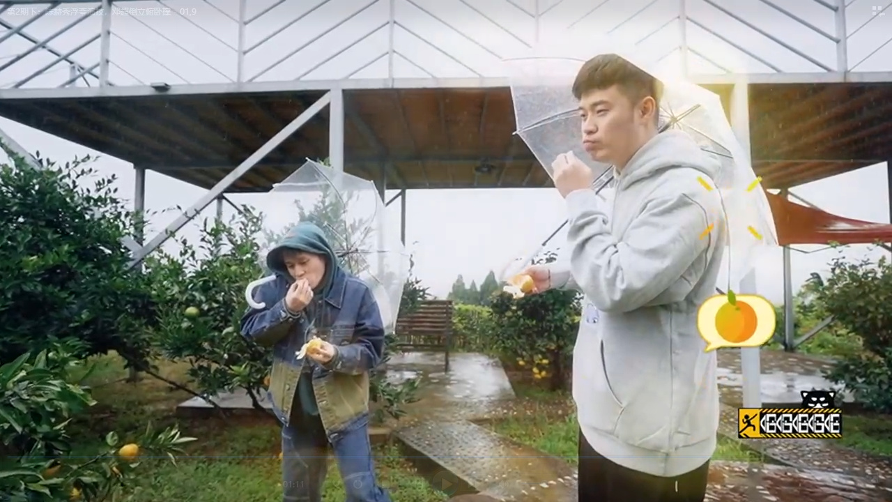 五哈太难了陈赫王冕猜不对诗句只能大早上吃橘子