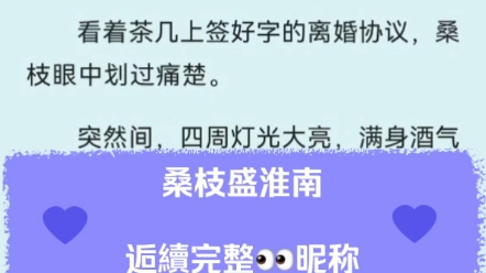 桑枝盛淮南抖音热推现言豪门联姻绝症重生虐文桑枝盛淮南小说全文后续完整阅读哔哩哔哩bilibili