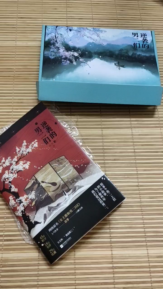 85逆袭的男二们扶华著