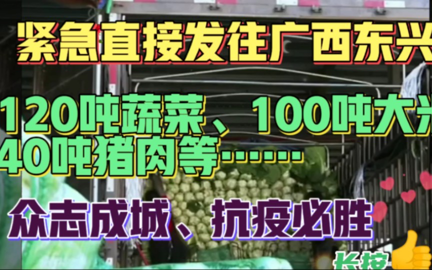紧急直接发往广西东兴120吨蔬菜、100吨大米、40吨猪肉等…好样的哔哩哔哩bilibili