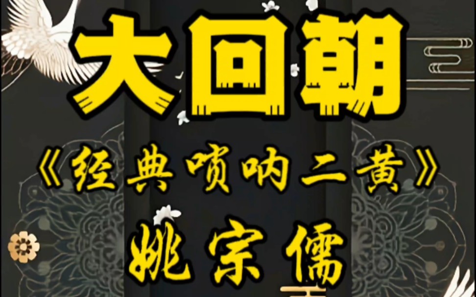 姚宗儒先生的唢呐版《大回朝》真是“大开大合,气势磅礴”太过瘾了哔哩哔哩bilibili