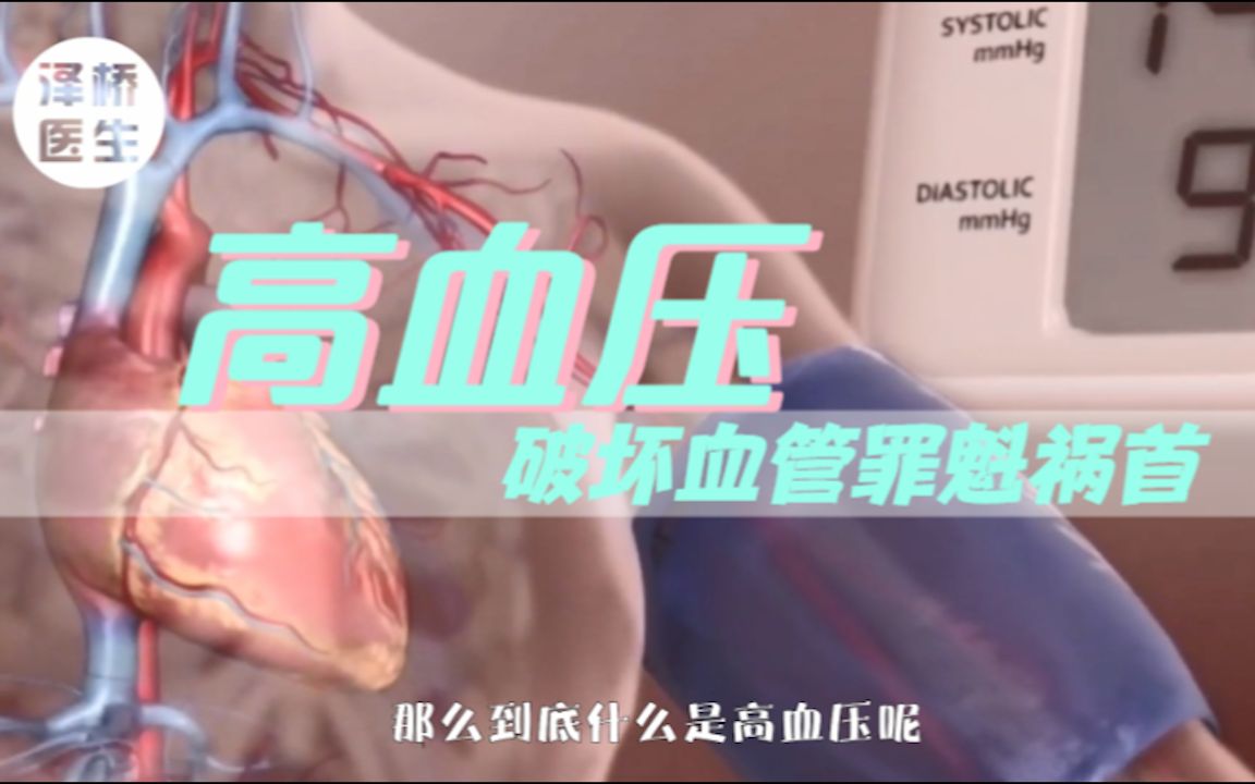 高血压危害破坏血管,必须重视!哔哩哔哩bilibili