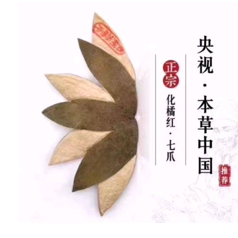 非常漂亮的化橘红七爪,老师傅传统手工艺,薄,整齐,正金毛果精心制作