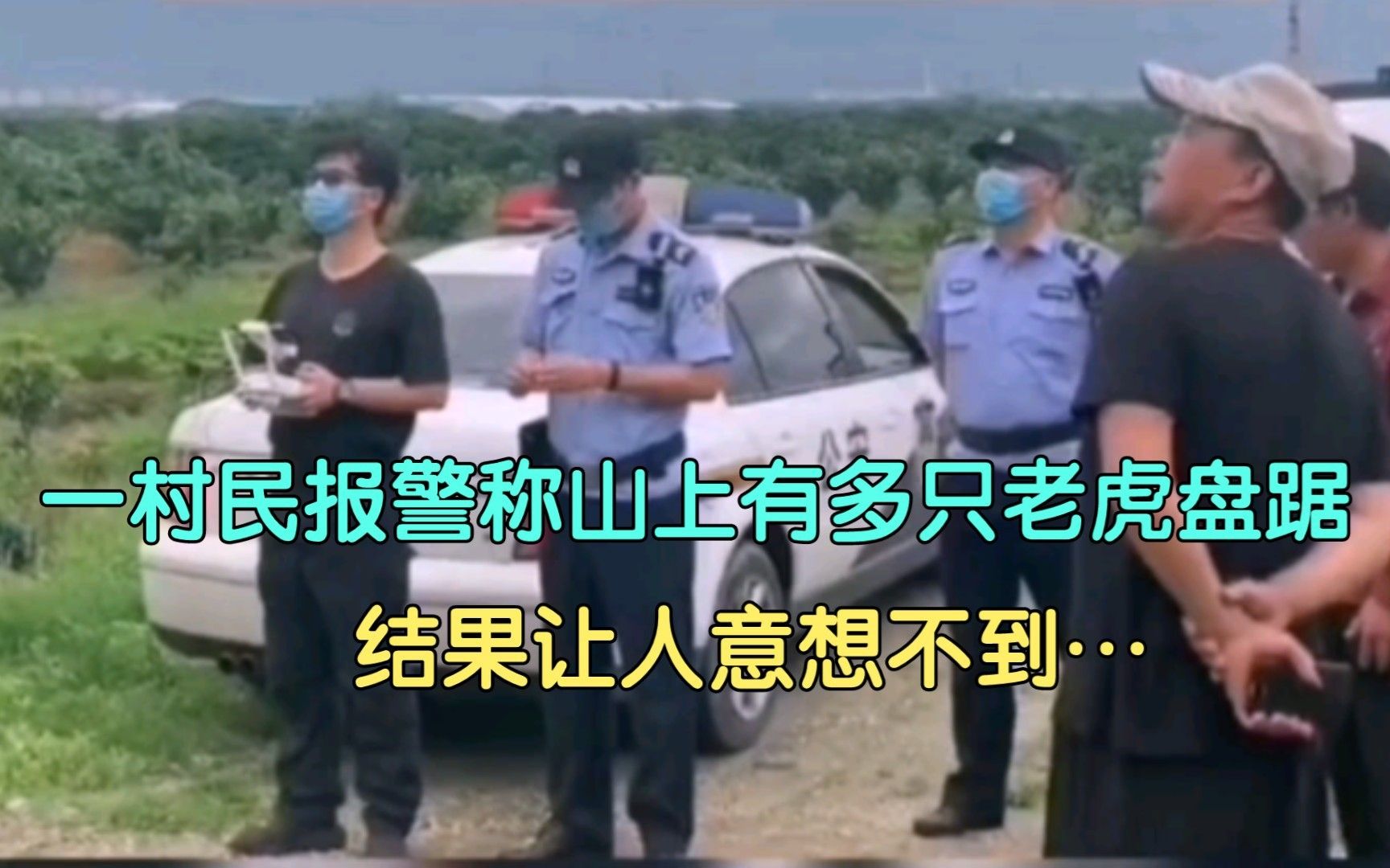 [图]村民报警称山上有多只老虎，“大小都有，十分可怕”，民警用无人机查看竟是…