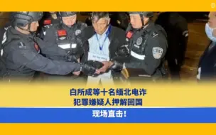 Download Video: 现场画面！白所成父子在内10名缅北重大犯罪嫌疑人被成功押解回国