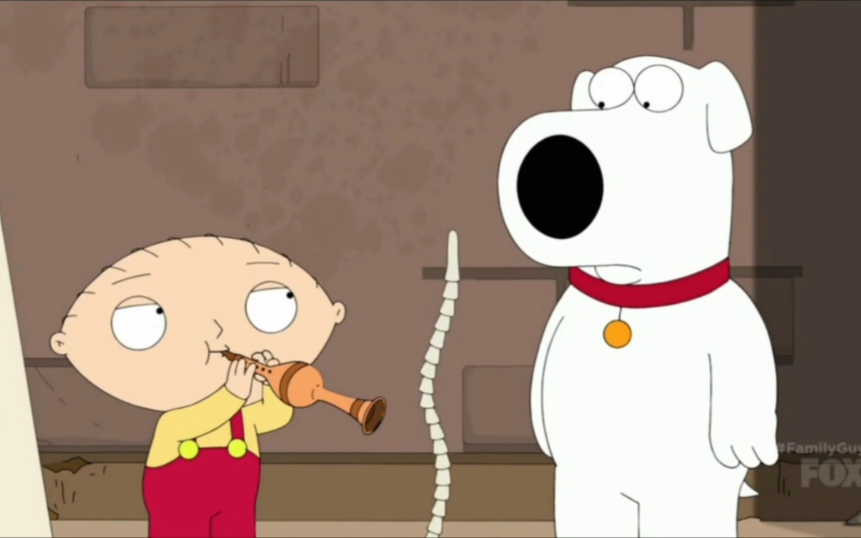 【恶搞之家】饺子和布莱恩在印度的出生瞬间,主打三观