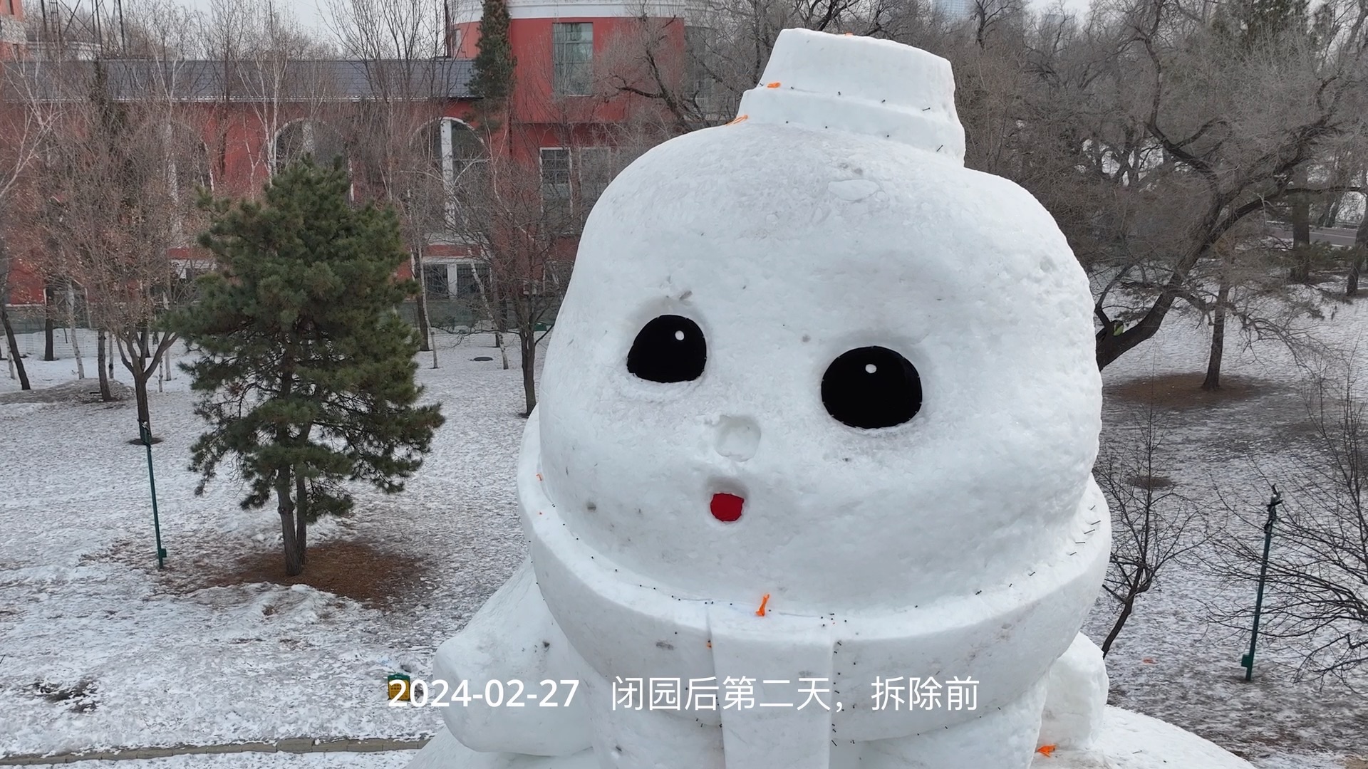 雪孩子哔哩哔哩bilibili