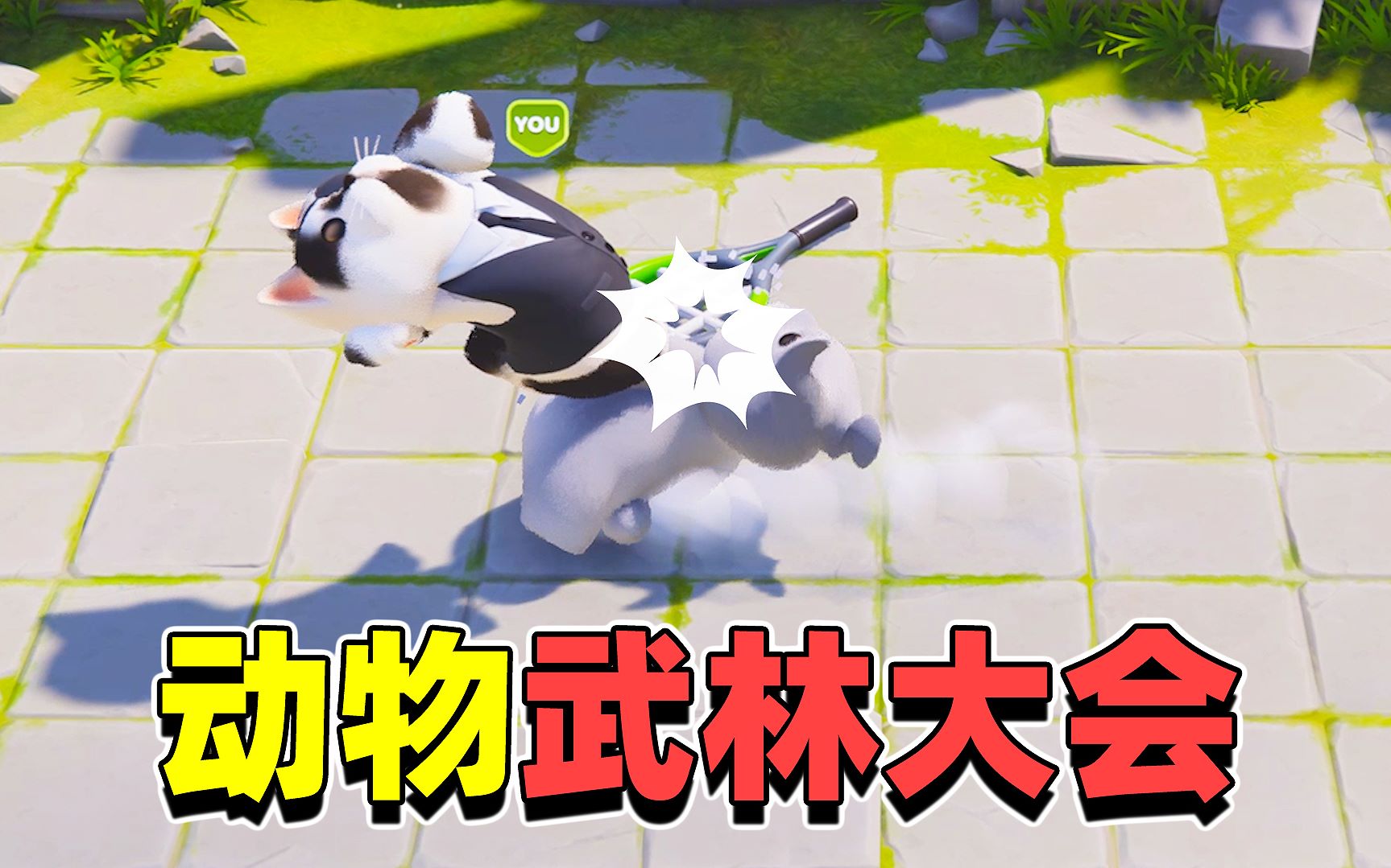 动物大乱斗:最能打的兔叽来了!猫咪竟习得武林绝学!滑稽的狂笑