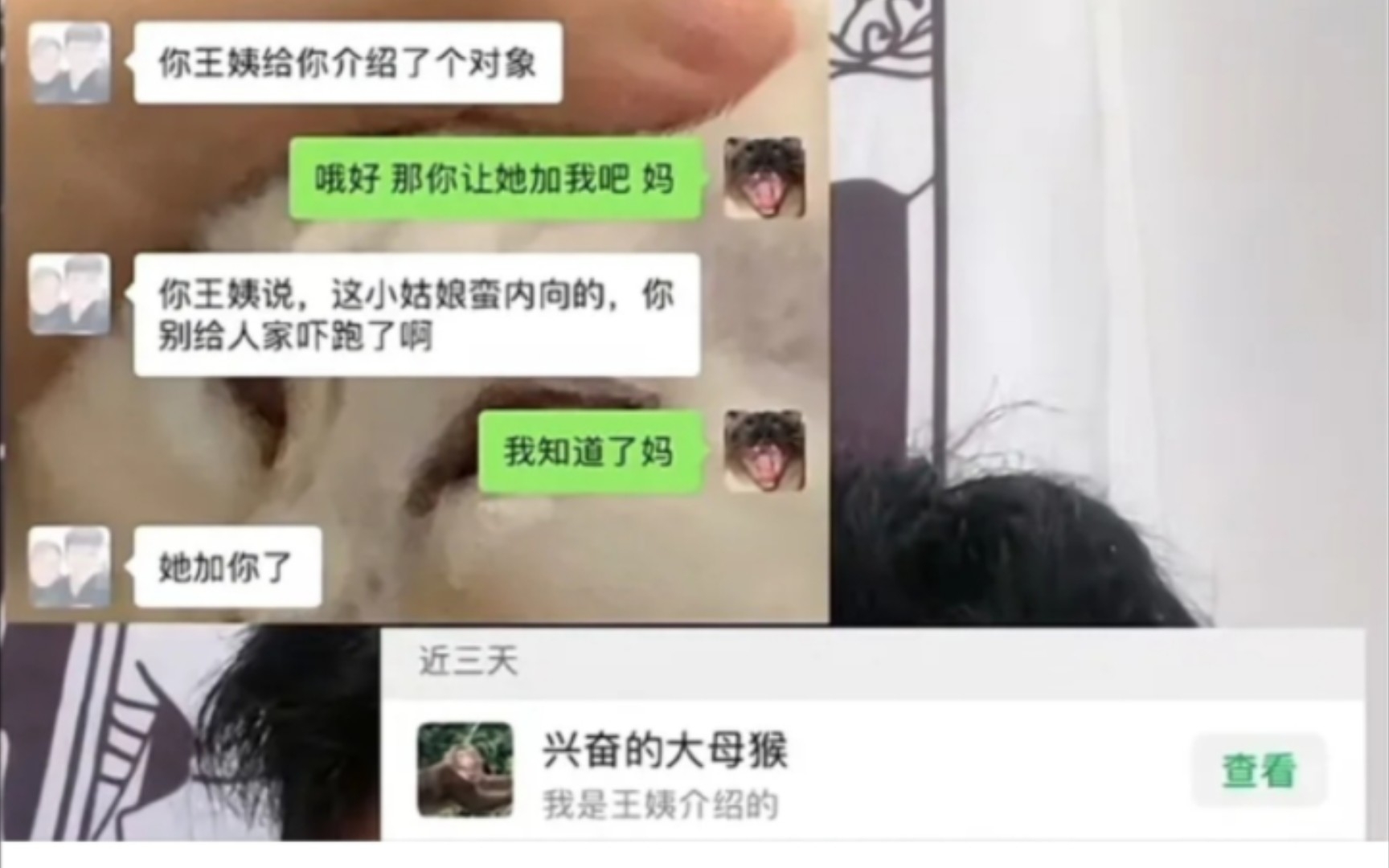 神评64: 兴奋的大母猴????????哔哩哔哩bilibili