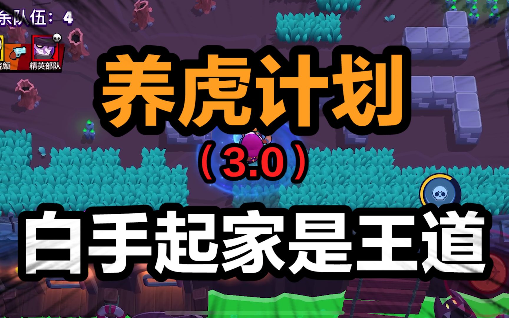 养虎计划3.0!开局就是终极形态,白手起家是王道~哔哩哔哩bilibili