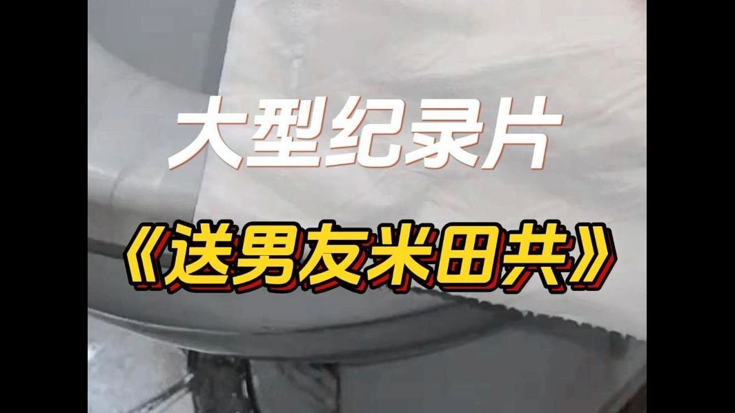 大型纪录片《送男友米田共》