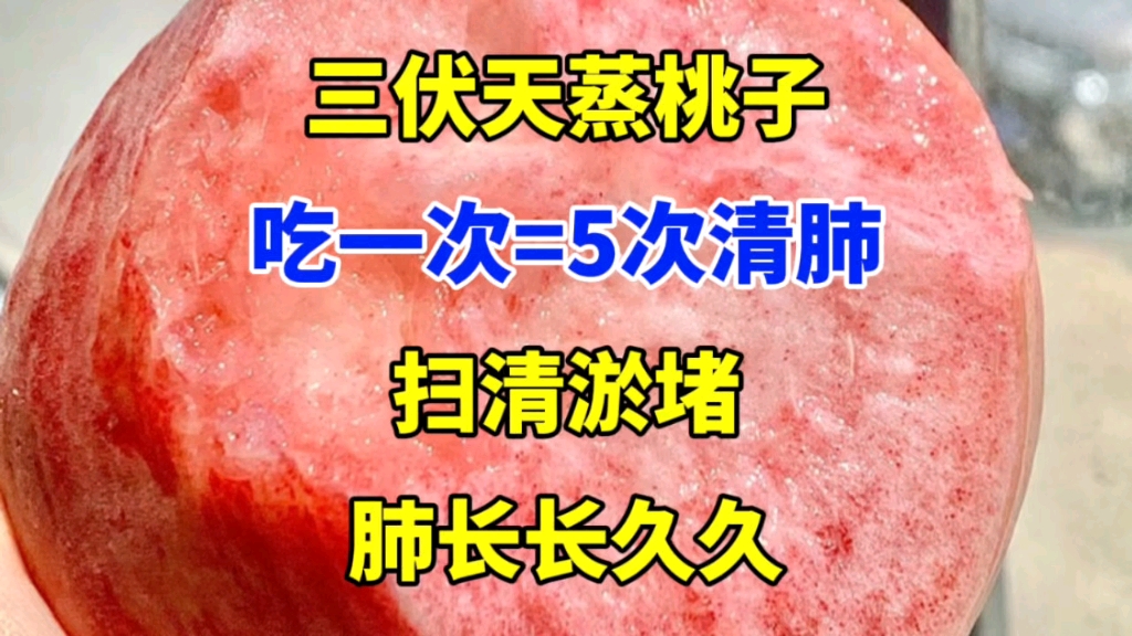 三伏天蒸桃子,吃一次=5次清肺,扫清淤堵,肺长长久久哔哩哔哩bilibili