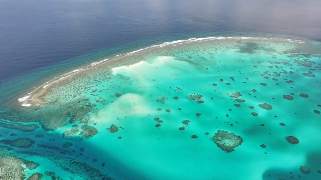 以后还能见到这样清澈的海洋吗