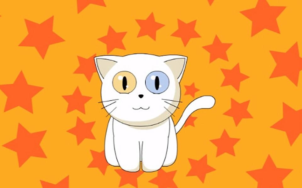 小豆豆动漫之动画波斯猫