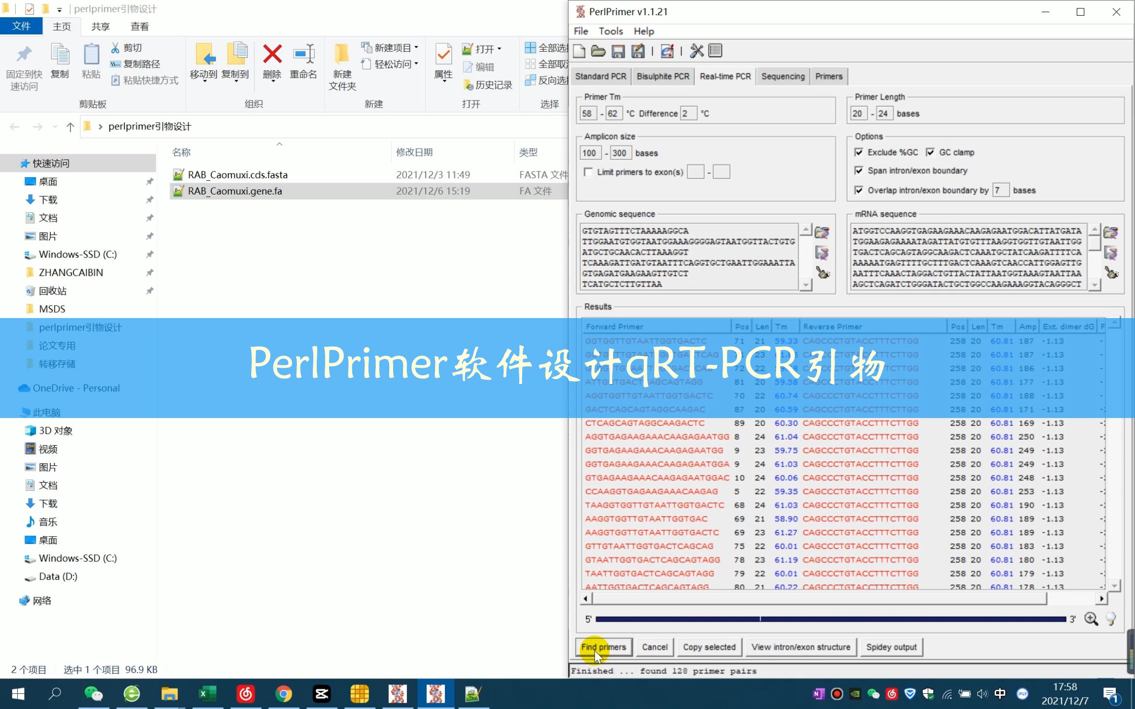 PerlPrimer软件设计qRTPCR引物哔哩哔哩bilibili