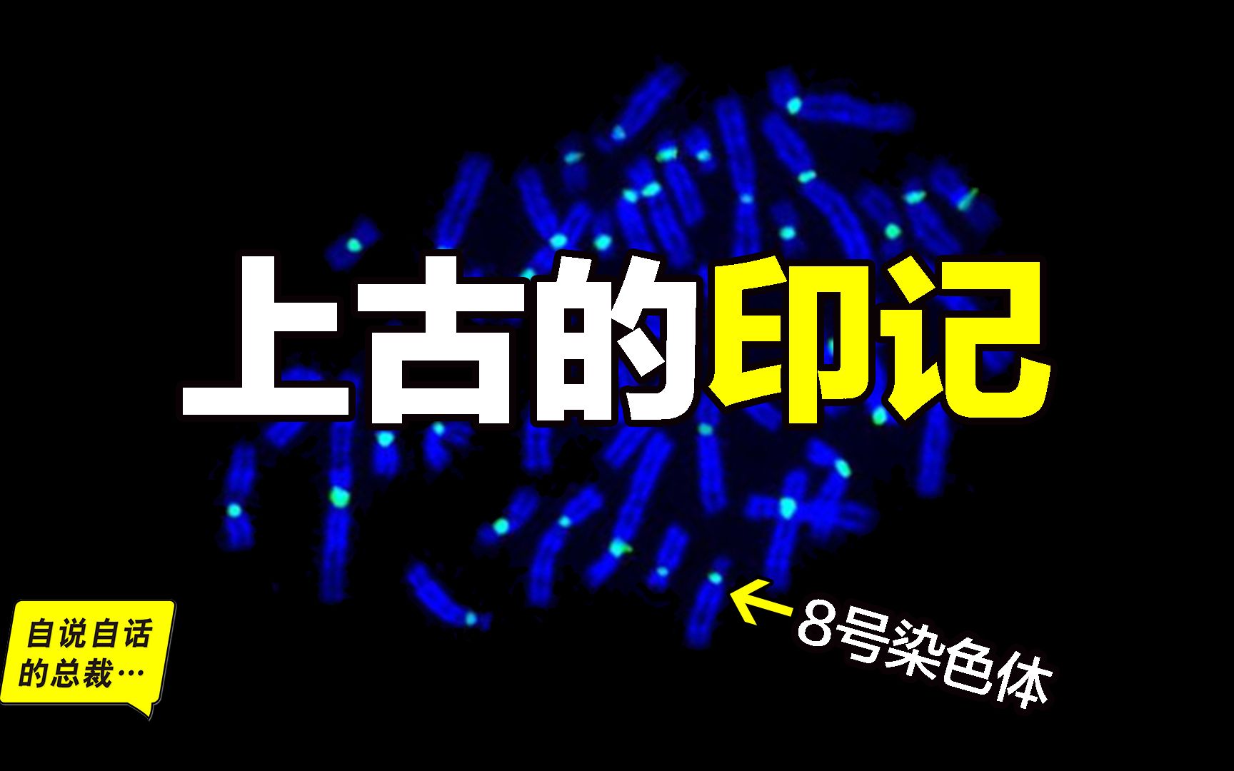 为什么全世界的柠檬都读Lemon?这背后有一个刻在8号染色体上的上古故事……|自说自话的总裁哔哩哔哩bilibili