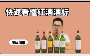 Download Video: 看懂葡萄酒酒标，关键要看这几个关键信息，我教你呀