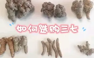 下载视频: 中草药质量辨别之三七