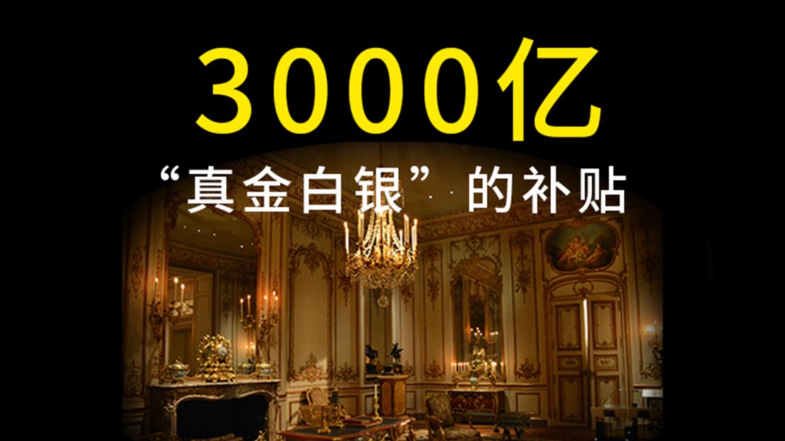 3000亿真金白银的补贴来了哔哩哔哩bilibili