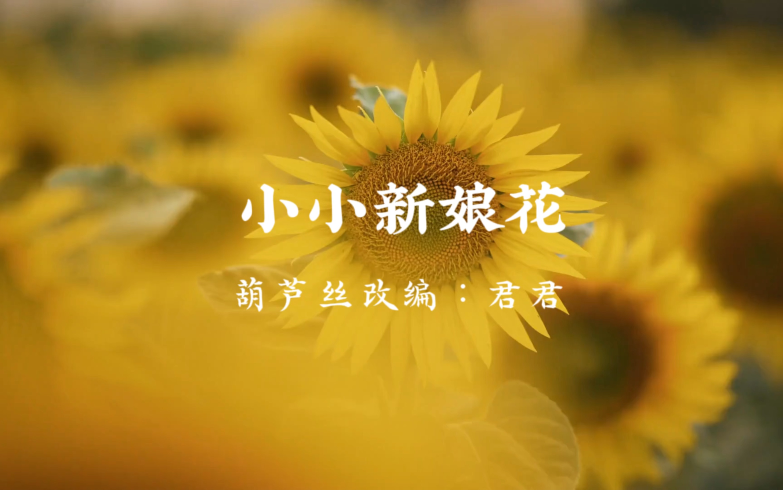 葫芦丝《小小新娘花》