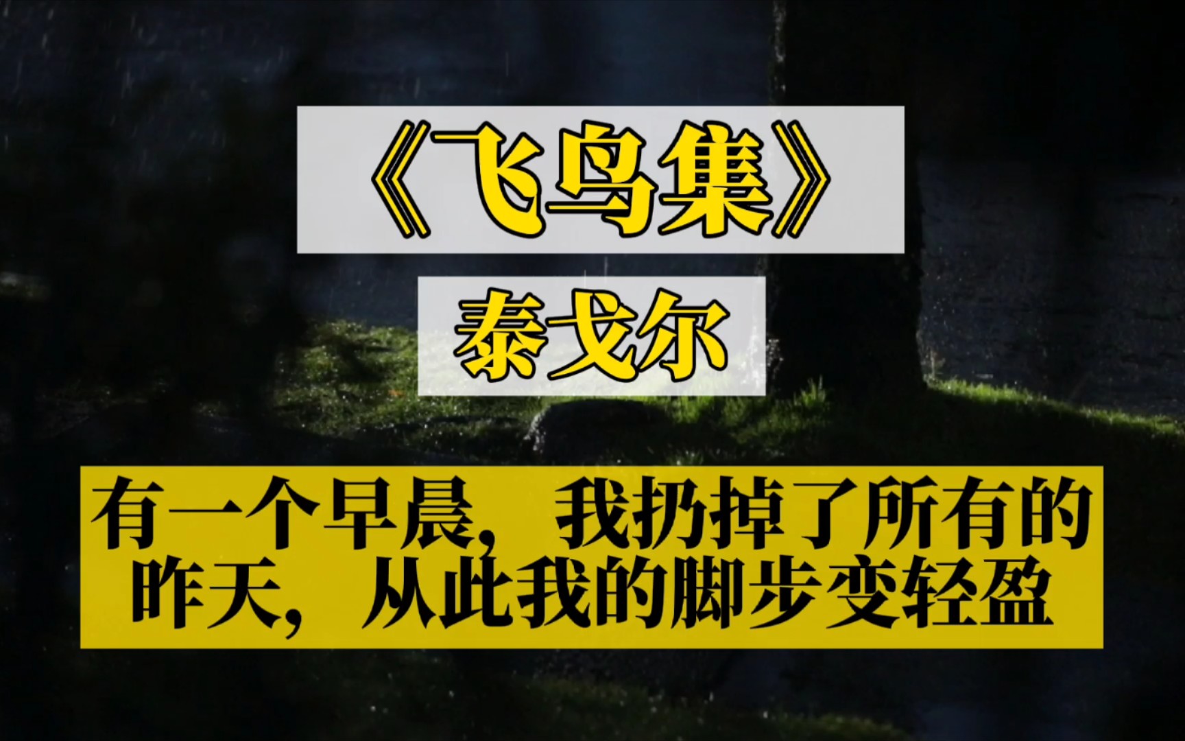 [图]【书摘】泰戈尔《飞鸟集》:有一个早晨，我扔掉了所有的昨天，从此我的脚步变轻盈