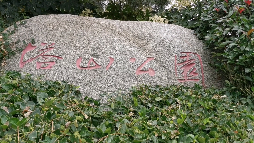 外地人来威海旅游,一定要去这里,不要门票,既能登山又能看海哔哩哔哩bilibili