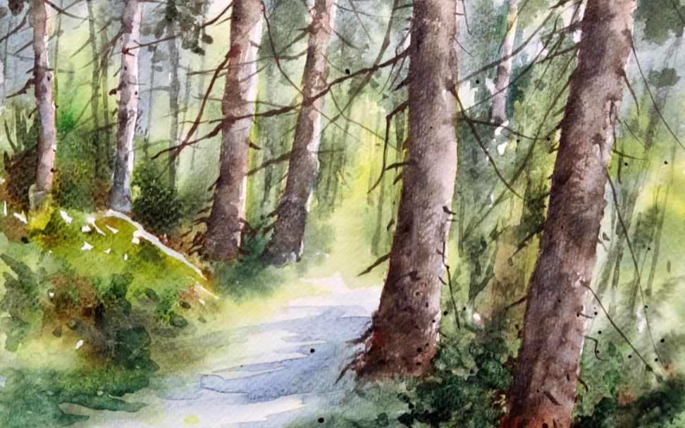水彩教程|洒满阳光的小树林