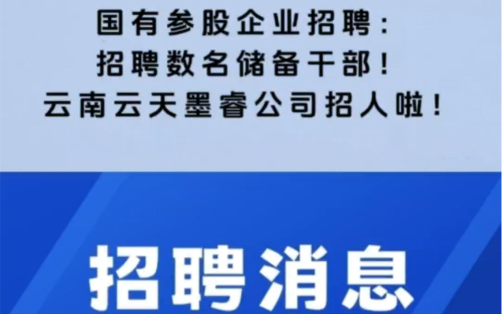 云南国有参股企业招聘:招聘数名储备干部!上班地点云南昭通!水富上班哔哩哔哩bilibili