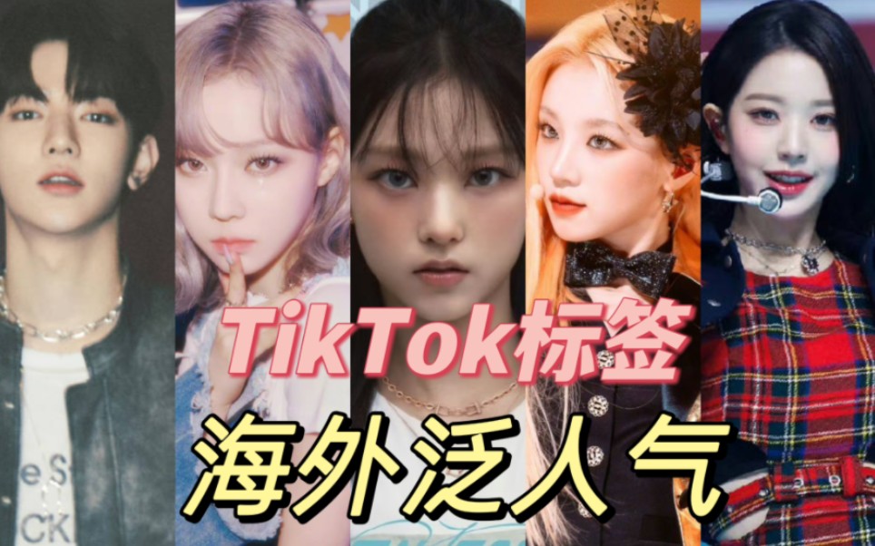 火到谁了??谁海外 最火??TIKTOK标签热度谁最高?5代男女团+单人TIKTOK标签热度排名哔哩哔哩bilibili