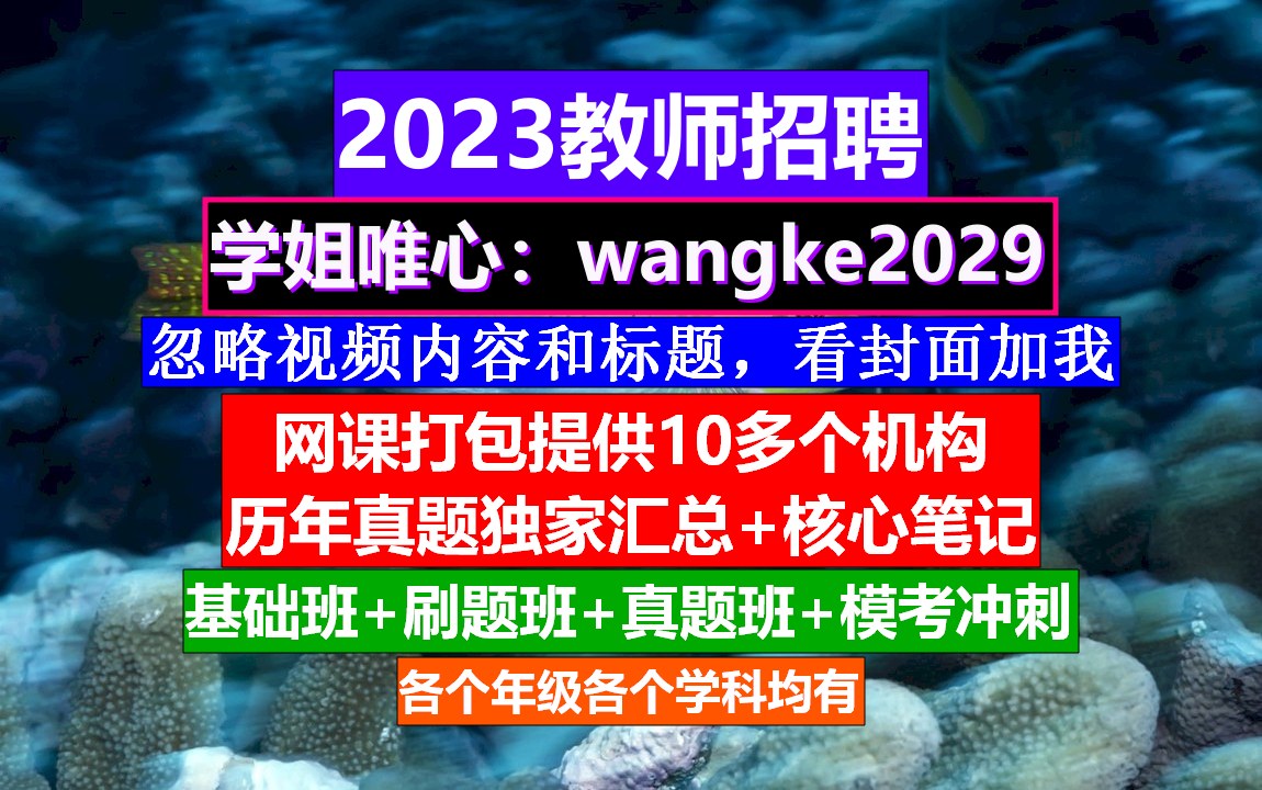 全国教师招聘美术学科,教师招聘信息在哪发布,教师招聘岗位表哔哩哔哩bilibili