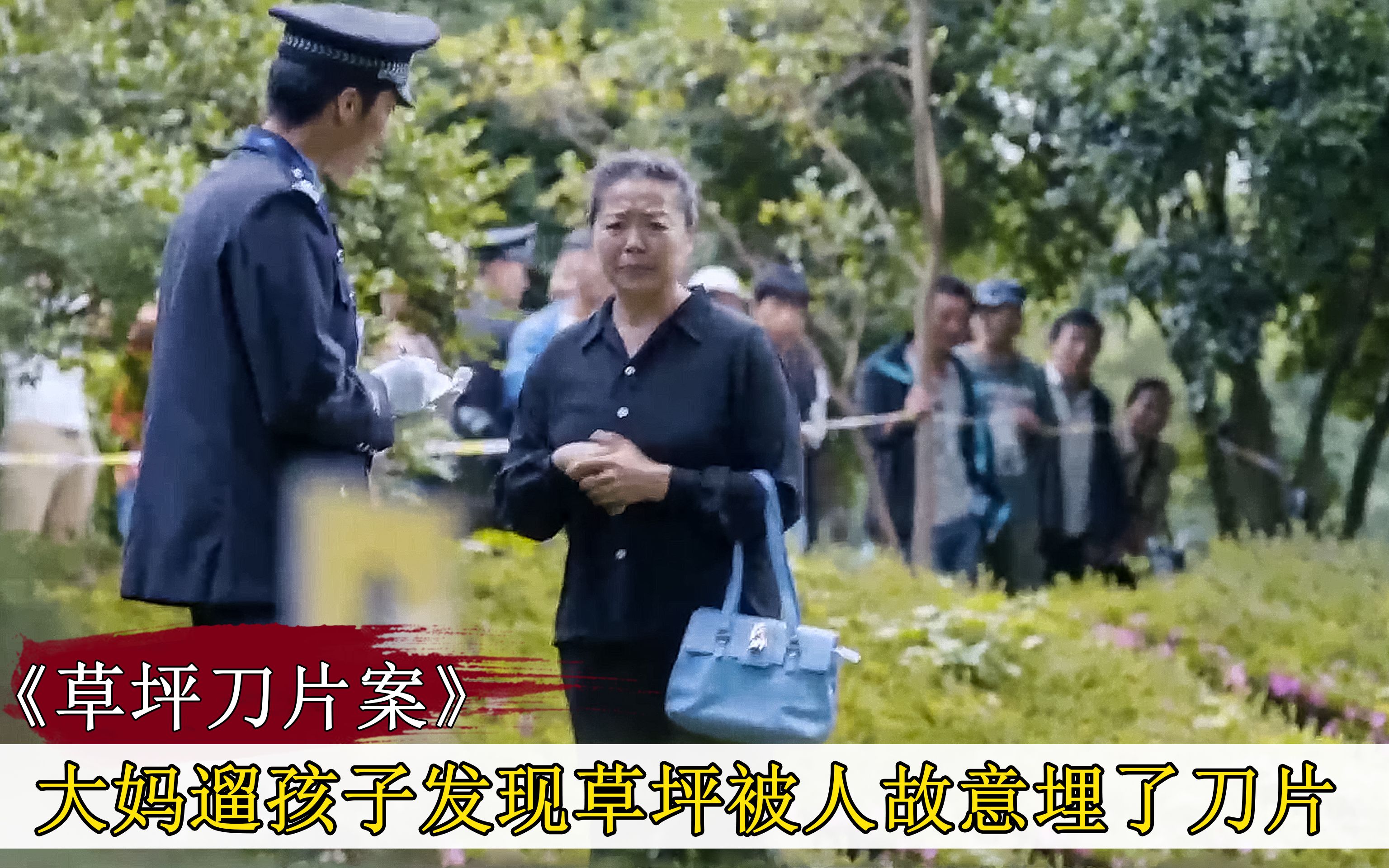 [图]《刑侦剧解说》大妈遛孩子被草坪割伤，警方过来一看，立刻立案侦查！悬疑片