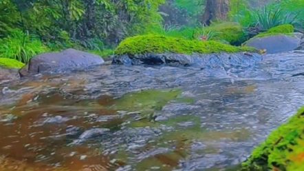 终日看山不厌山,倚山终待老山间.山花落尽山常在,山水空流山自闲.治愈系风景 , 一起享受大自然的美哔哩哔哩bilibili