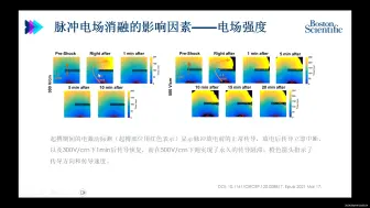 Download Video: 射频、冷冻&脉冲原理及影响因素