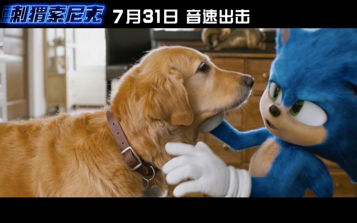 电影刺猬索尼克预告蠢萌蓝色刺猬太可爱了7月31日上映