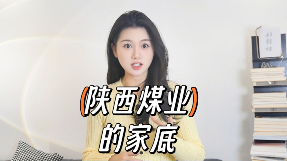 “陕西煤业”底子很厚,未来可期!哔哩哔哩bilibili